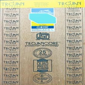 Trueliving_Trojan Classic 8 ft x 4 ft MR Grade Plywood - 6 mm_Plywood_ 53/Sq. Ft.