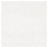 Trueliving_Bronze Tropic White Glossy 600 mm x 600 mm Double Charged Tile_Price-42_Per Sq Ft.