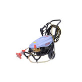 Trueliving_XP-PW-1000W Pressure Washer Voltage 220v Input Power 2200kw