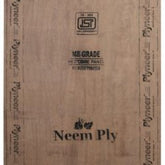 Trueliving_Plyneer Neem 8 ft. x 4 ft. 16 mm MR Plywood__Price Per Sq Ft.___71
