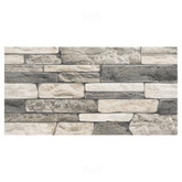 Trueliving_Sunhearrt Eureka Black Textured 600 mm x 300 mm Vitrified Elevation Tile_Price-58_Per Sq Ft.