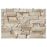 Trueliving_Sunhearrt Colano Beige Textured 450 mm x 300 mm Ceramic Elevation Tile_44_Per Sq Ft. _Chiku Color