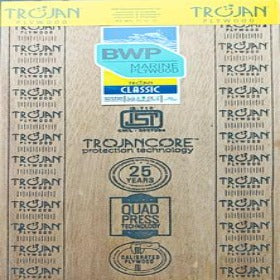 Trueliving_Trojan Classic 8 ft x 4 ft BWP Grade Plywood - 9 mm_Plywood_ 73/Sq. Ft.
