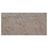 Trueliving_Somany Glosstra Vivo Mushroom Glossy 600 mm x 300 mm Ceramic Wall Tile_Price-57_Per Sq Ft.