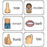 Trueliving Krazy Body Parts Flash Cards for Kids & Toddlers Early Learning Material for Preschool