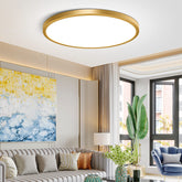 Ceiling Light,wall light,hanging light living room