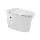Trueliving_Ornamix Tankless Single Piece WC_380x620x450 mm_White