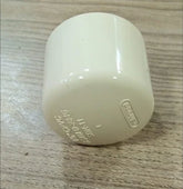 ASTRAL CPVC END CAP 01 & 0.75 INCH
