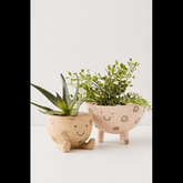 Trueliving Kids Like Polymer Floor Plant Pot width:5.6'' Height:6.6''