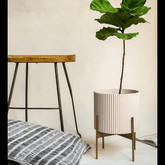 Trueliving Royal Cream Round Polymer Floor Plant Pot width:6.5'' Height:6.5''