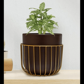 Trueliving Round Golden Black Polymer Floor Plant Pot width:53'' Height:6.5''