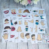 Trueliving Krazy Body Parts Flash Cards for Kids & Toddlers I 24 Real Picture Flash Cards for Babies 3 Months to 6 Years