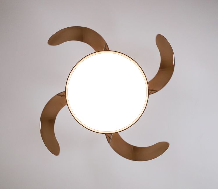 Purity in Motion Lighting Fan-Brown