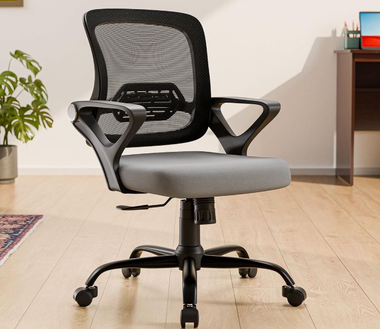 Pebble Mid Back Ergonomic Office Chair (Grey)