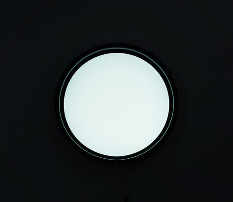Jewel of Light Ceiling Light