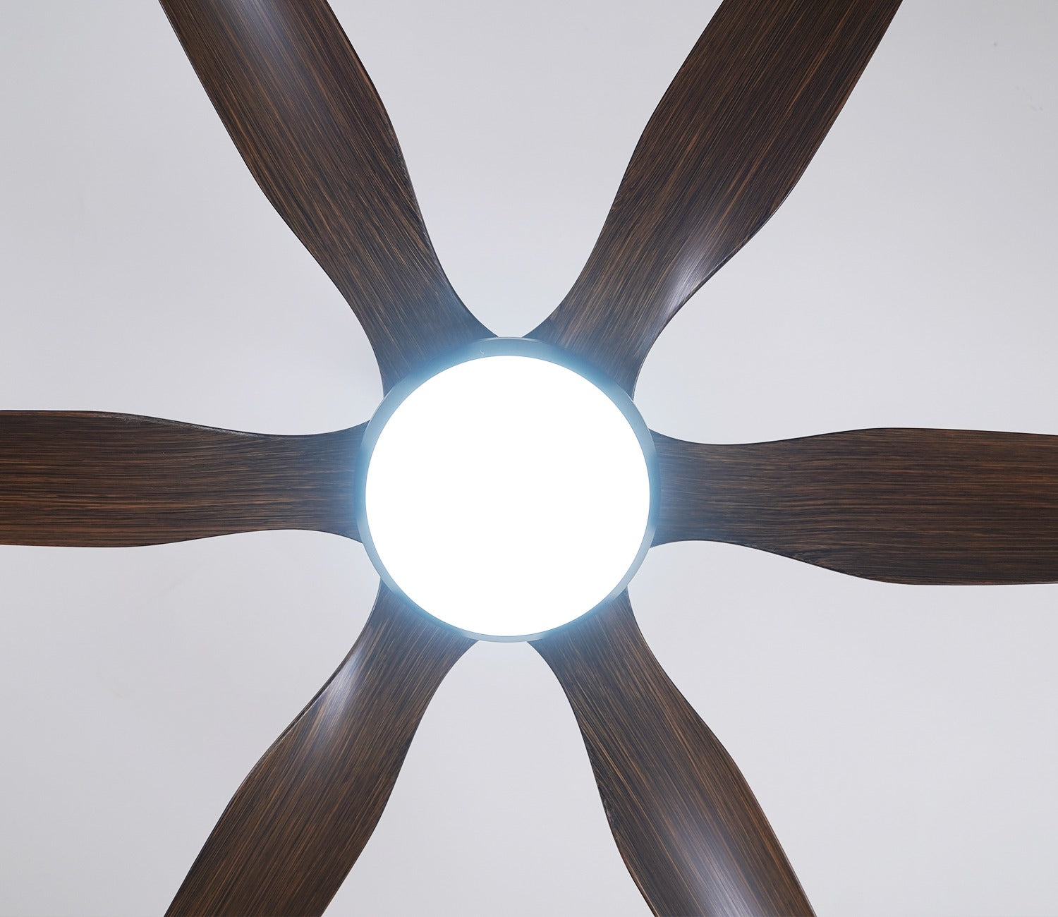 Power in Simplicity Lighting Fan