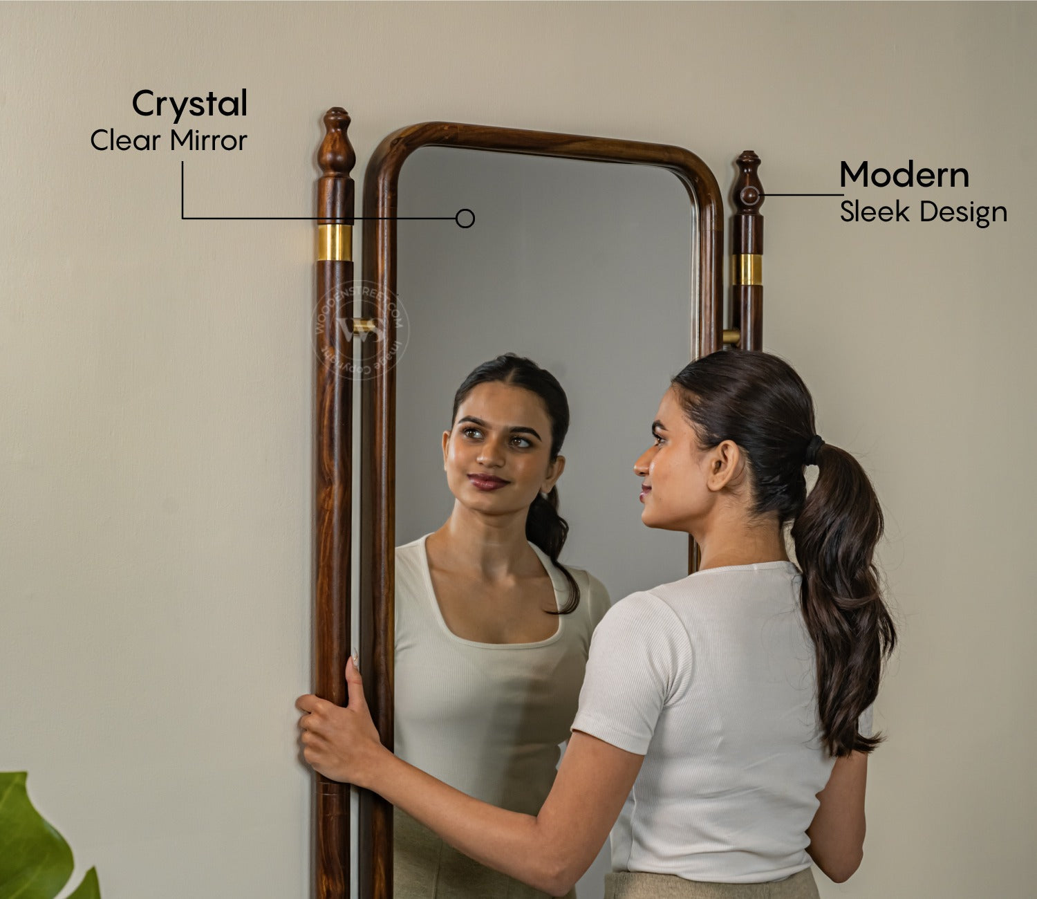 Skyler Antique Sheesham Wood Full Length Mirror With Brass Design (Walnut Finish)