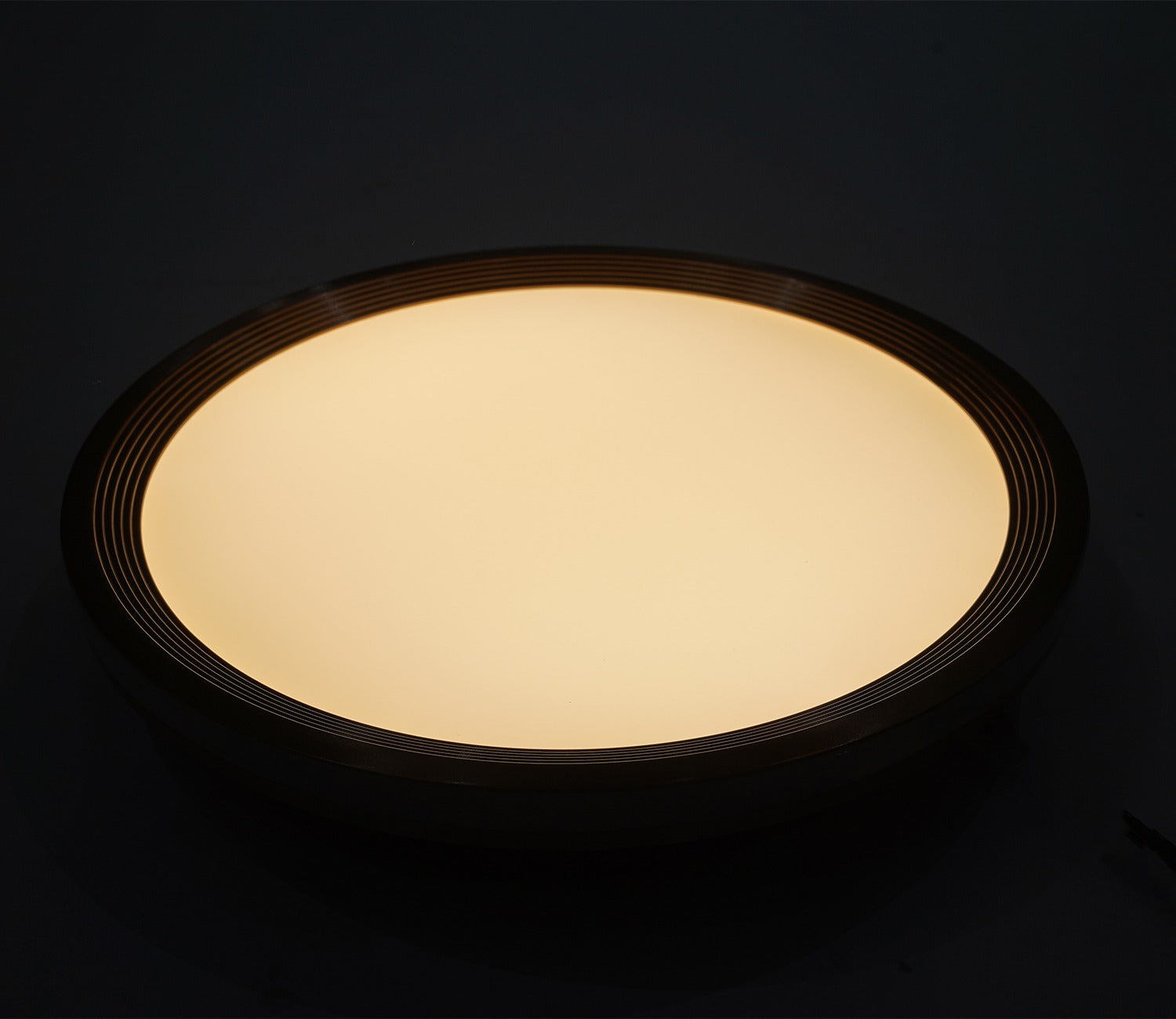 Blossom Brilliance Ceiling Light