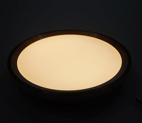 Blossom Brilliance Ceiling Light