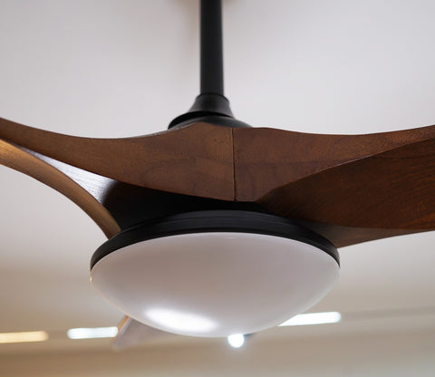 Three Feathers of Bliss Lighting Fan