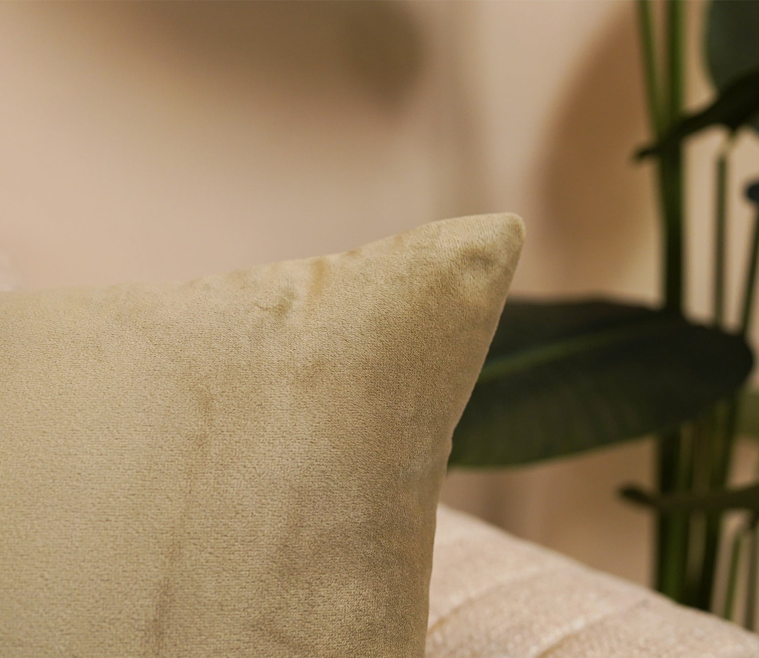 Cupid Velvet Cushion Cover - Pack of 1 (16 x 16 Inch, Pearl Beige)