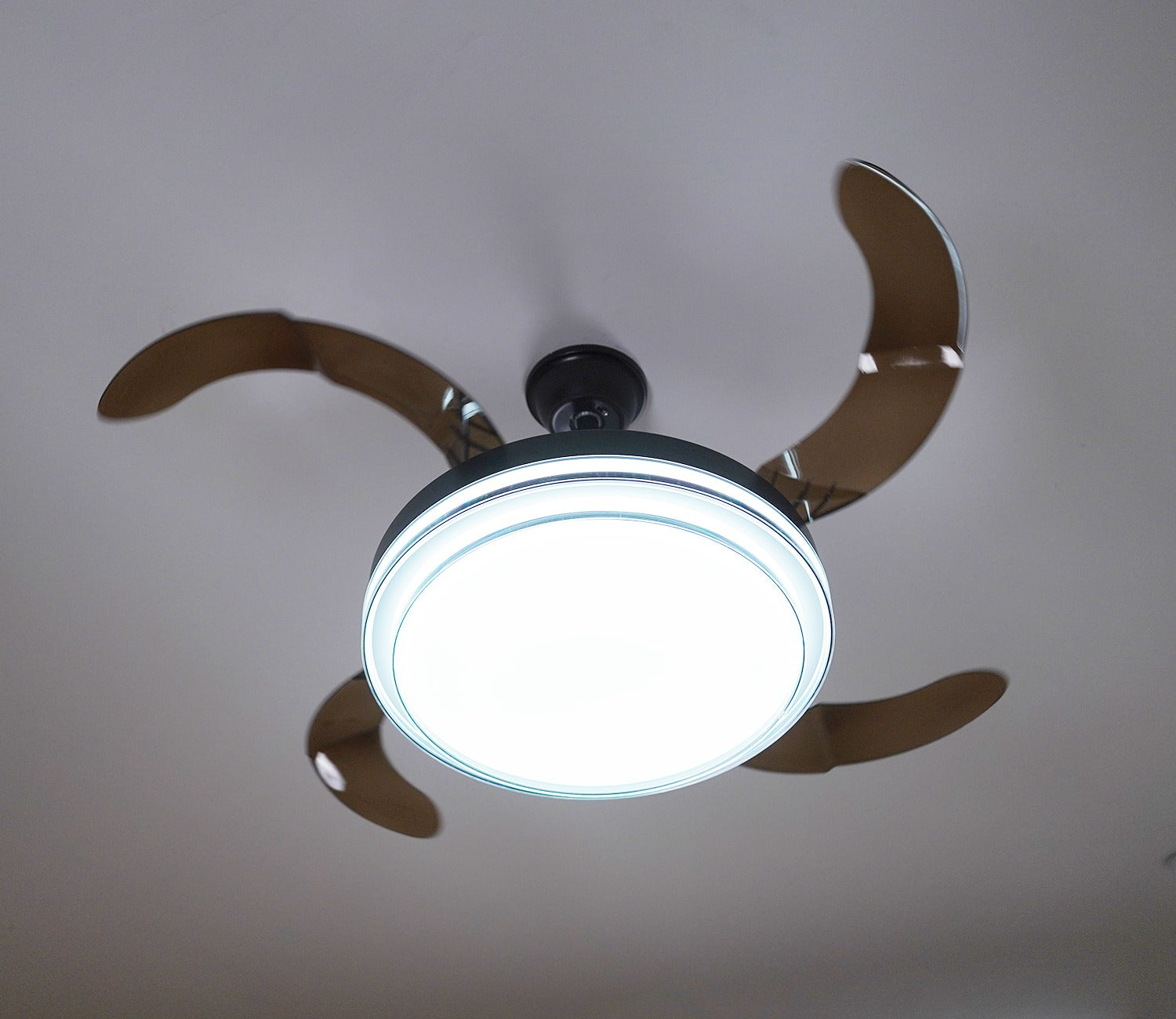 Purity in Motion Lighting Fan-Black