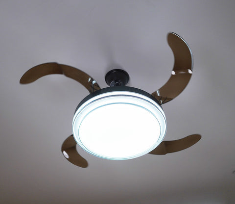 Purity in Motion Lighting Fan-Black