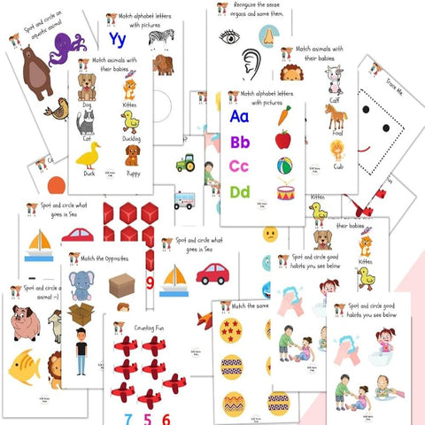 Trueliving Pranay Publications Flash Cards for Kids | Pre Schooling Kit | 300 Laminated Reusable Activity Flash Cards | Home Schooling Kit