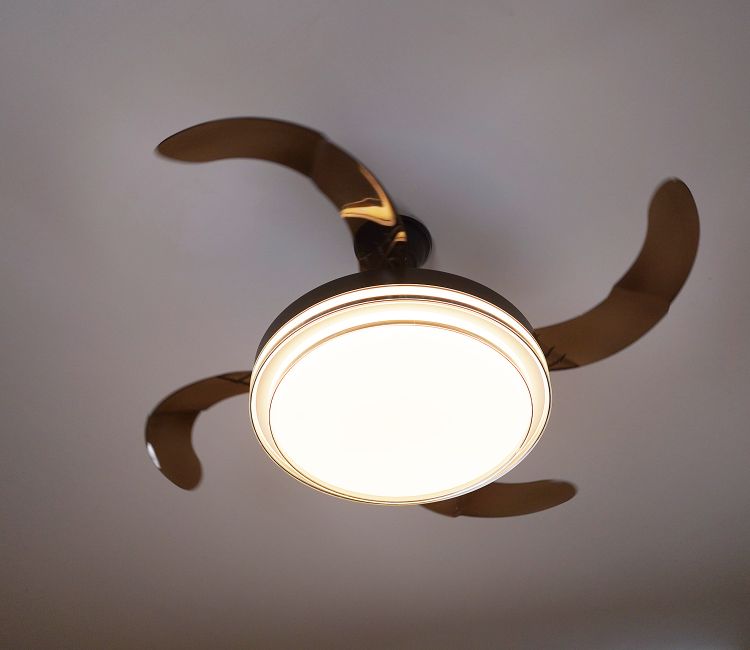 Purity in Motion Lighting Fan-Black