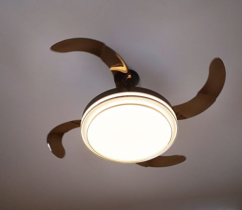 Purity in Motion Lighting Fan-Black
