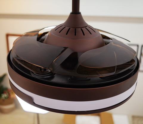 Purity in Motion Lighting Fan-Brown
