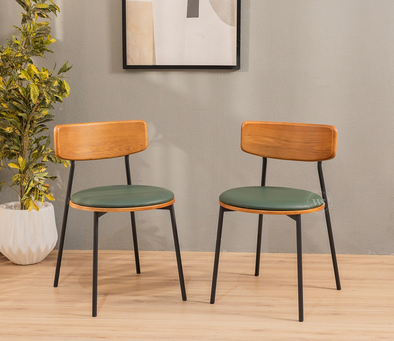 Estara Modern Outdoor Chair (Green)