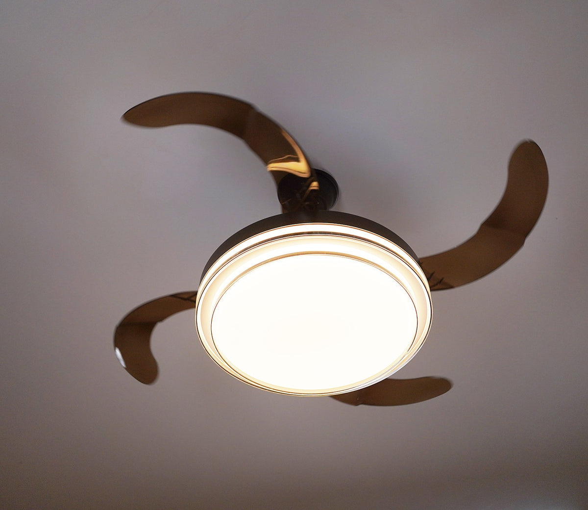 Purity in Motion Lighting Fan-Black