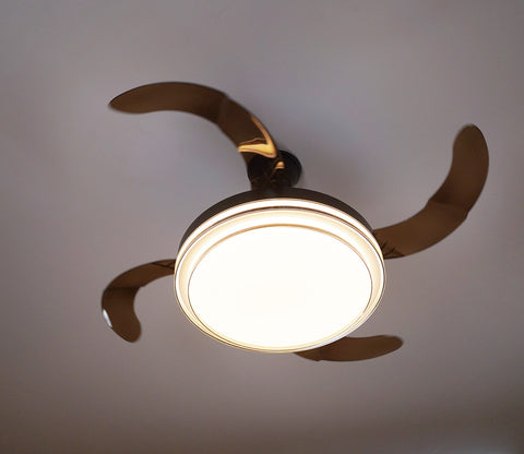 Purity in Motion Lighting Fan-Black