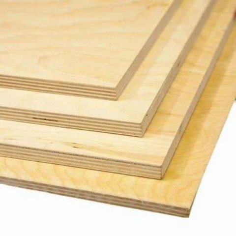 Trueliving_Birch Ply 8 ft x 4 ft Plywood - 19 mm_Plywood_ 160/Sq. Ft.