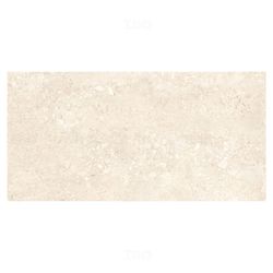 Trueliving_Kajaria Carolina Crema Matte 600 mm x 300 mm Ceramic Wall Tile_Price-66_Per Sq Ft.