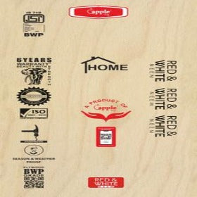 Trueliving_Apple Red And White BWP Grade 7 ft x 4 ft Plywood - 12 mm_Plywood_ 76/Sq. Ft.