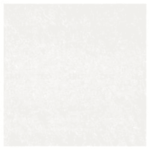 Trueliving_Bronze Tropic White Glossy 600 mm x 600 mm Double Charged Tile_Price-42_Per Sq Ft.