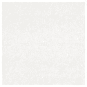 Trueliving_Bronze Tropic White Glossy 600 mm x 600 mm Double Charged Tile_Price-42_Per Sq Ft.