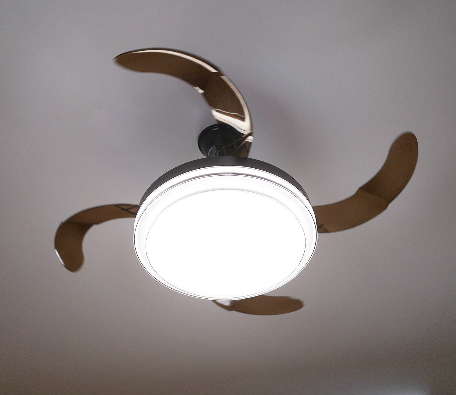 Purity in Motion Lighting Fan-Black