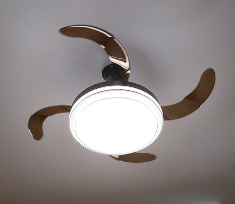 Purity in Motion Lighting Fan-Black