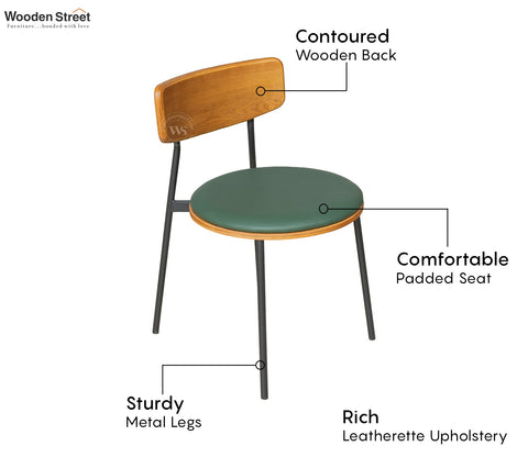 Estara Modern Outdoor Chair (Green)