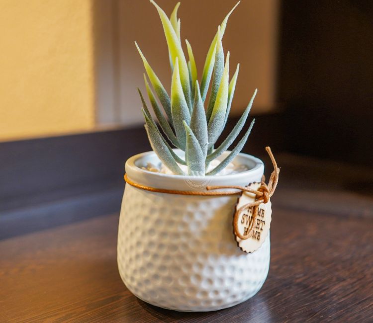 Bloomify Ceramic Pot With Artificial Flowers (White)