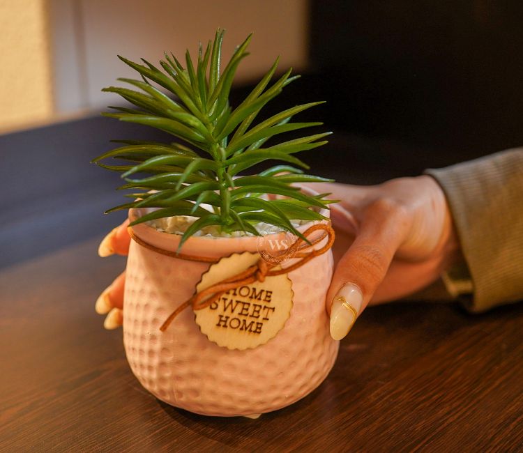 Bloomify Ceramic Pot With Artificial Flowers (Light Pink)