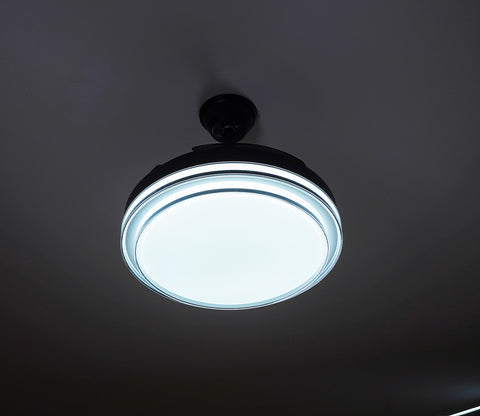 Purity in Motion Lighting Fan-Black
