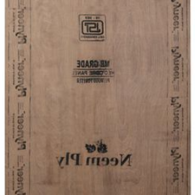 Trueliving_Plyneer Neem 8 ft. x 4 ft. 16 mm MR Plywood__Price Per Sq Ft.___71