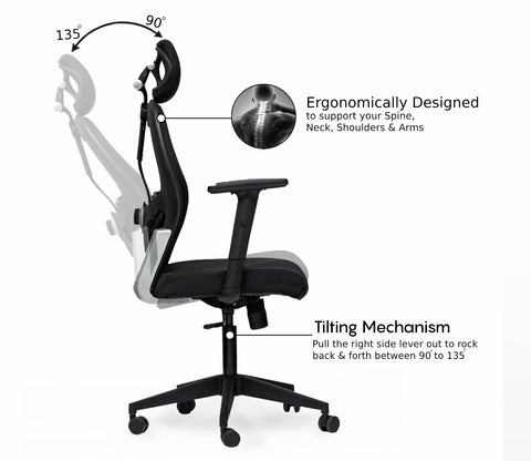 Auriga High Back Mesh Ergonomic Office Chair (Black)