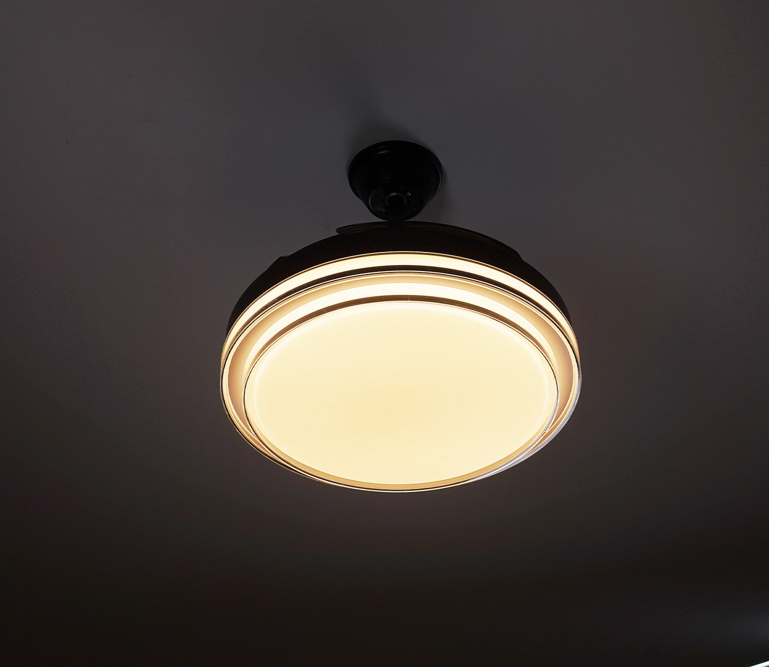 Purity in Motion Lighting Fan-Black
