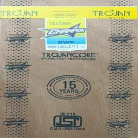 Trueliving_Trojan Champion 8 ft x 4 ft BWP Grade Plywood - 12 mm_Plywood_ 89/Sq. Ft.