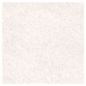 Trueliving_Bronze Tropic Peach Glossy 600 mm x 600 mm Double Charged Tile_Price-42_Per Sq Ft.